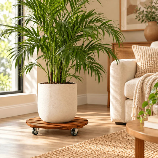 Plant Caddy With Wheels